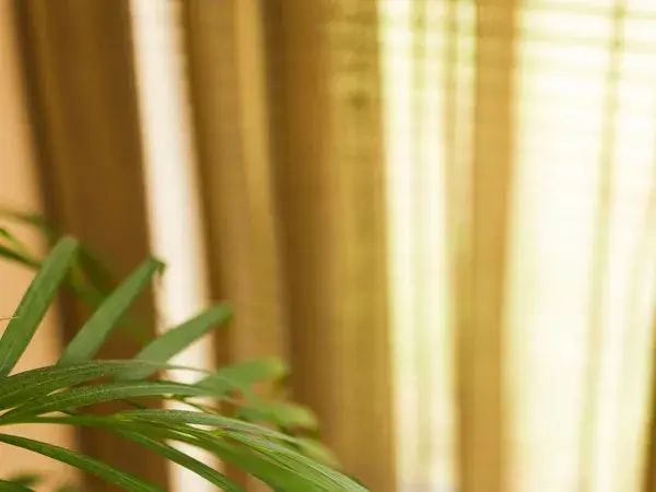 Vriendelijk tapijt 2