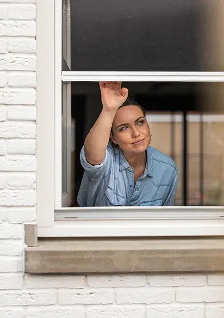 raamhorren carousel 2